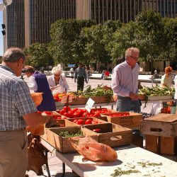 farmers market