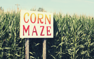 Corn mazes in New York State