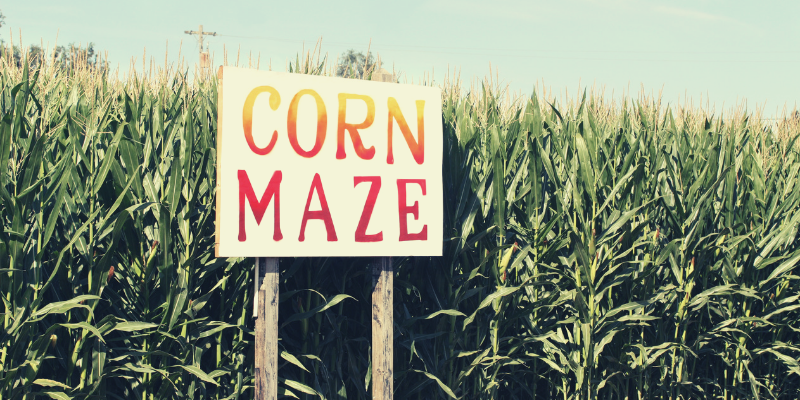 31 Corn mazes in New York State