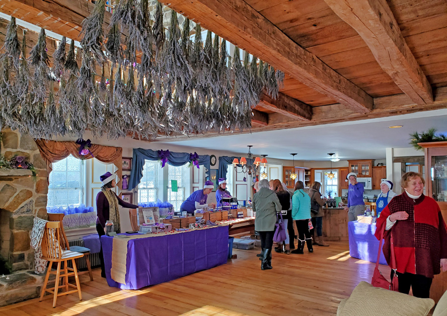 A lavender holiday shopping experience in Whitehall New York