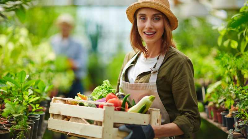 Farmers markets and food insecurity